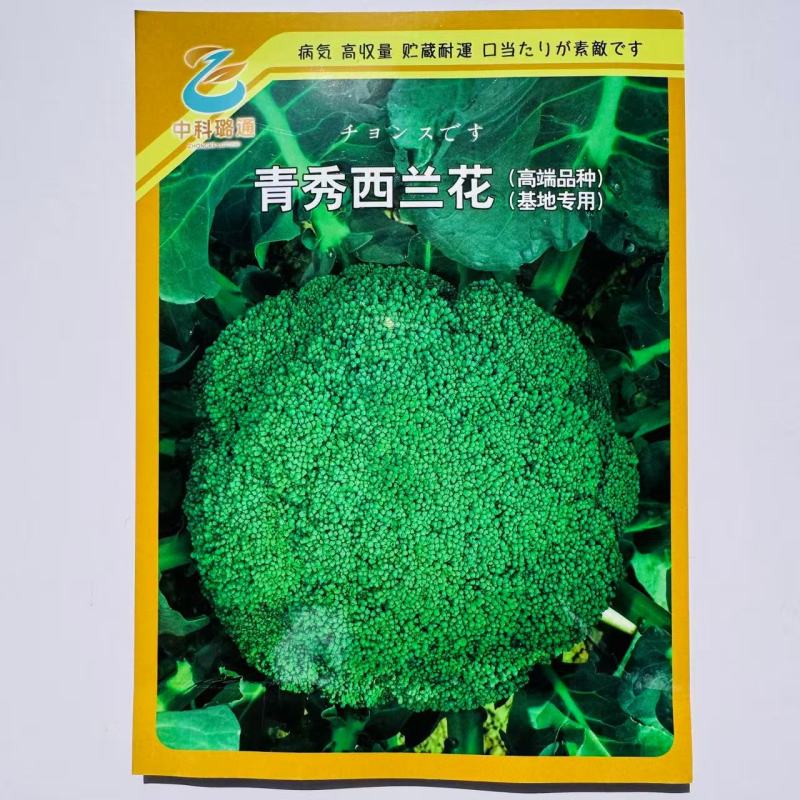 璐通青秀西蓝花种子高品质杂交西兰花种籽新品种春秋两季基地