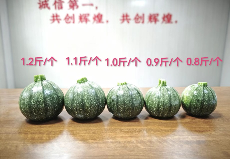 小南瓜/广西/源头农场基地/电商直供/产地