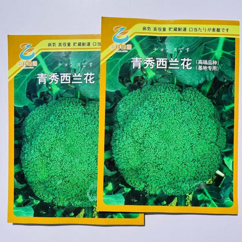 青秀西兰花种子高端杂交西兰花种子深绿色西蓝花青花菜种子