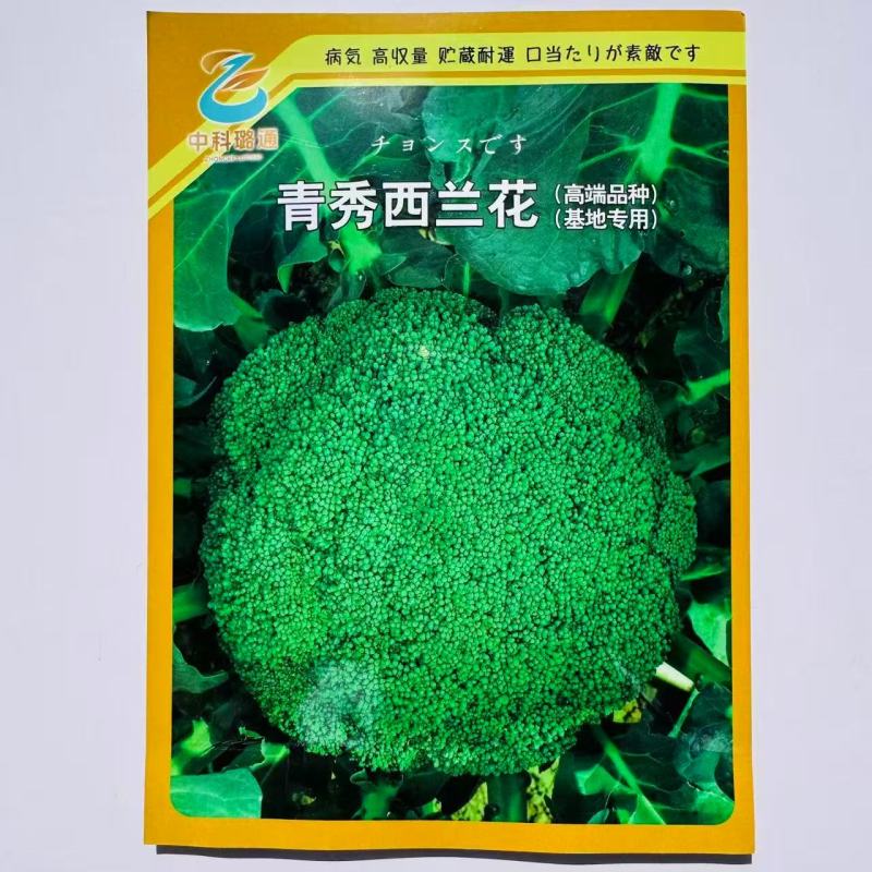 青秀西兰花种子高端杂交西兰花种子深绿色西蓝花青花菜种子