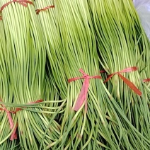丰县新鲜精品蒜苔