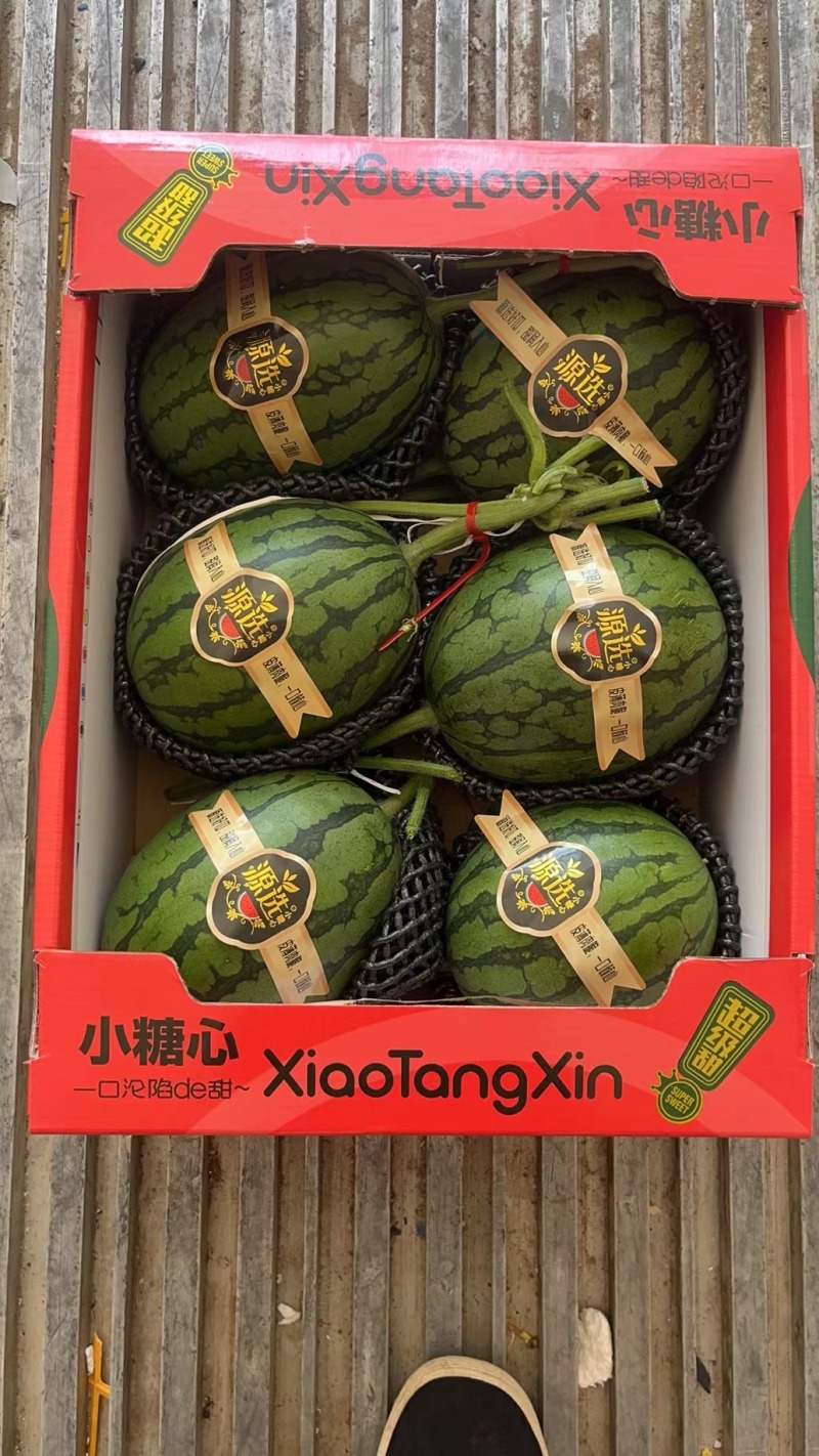 大量上市小吊瓜2k小西瓜一手货源适合市场电商等