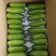 水果黄瓜精品黄瓜18公分以下鲜花带刺产地直发