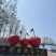 美早品质保证基地直发量大从优全国发货欢迎来电洽谈