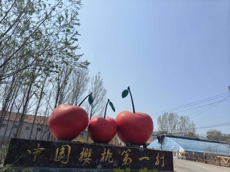 美早品质保证基地直发量大从优全国发货欢迎来电洽谈