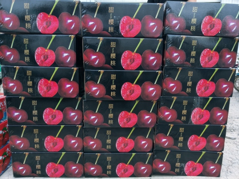 美早品质保证基地直发量大从优全国发货欢迎来电洽谈