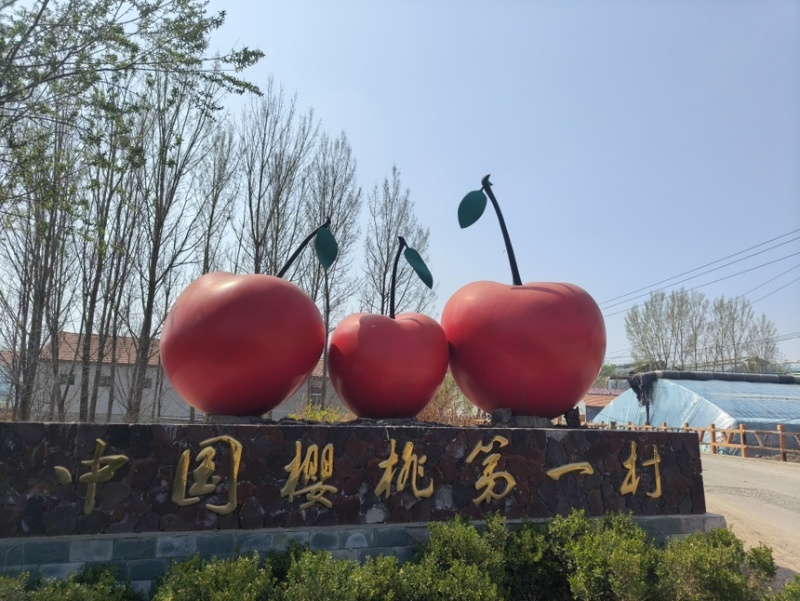 红灯樱桃现货大量供应对接批发代发8年樱桃经验靠谱规格全