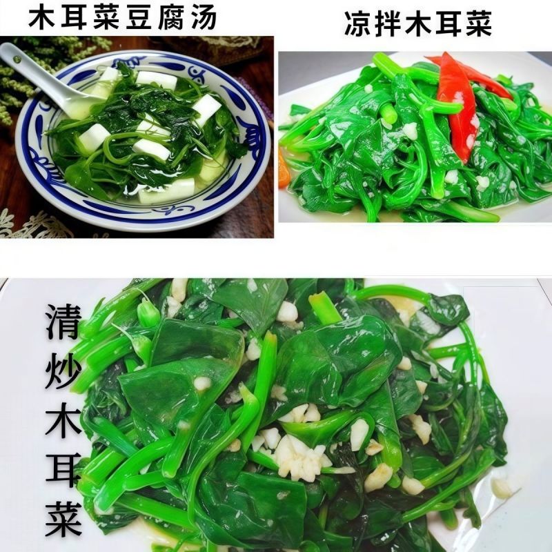 豆腐菜木耳菜