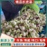 周口淮阳扒皮蒜大量供应市场电商糖蒜厂保证质量