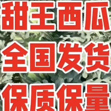 甜王西瓜/8斤打底/糖度13+/全国发货/包熟送货到家