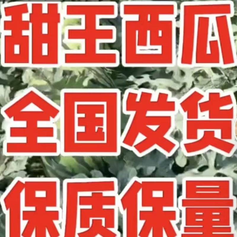 甜王西瓜/8斤打底/糖度13+/全国发货/包熟送货到家