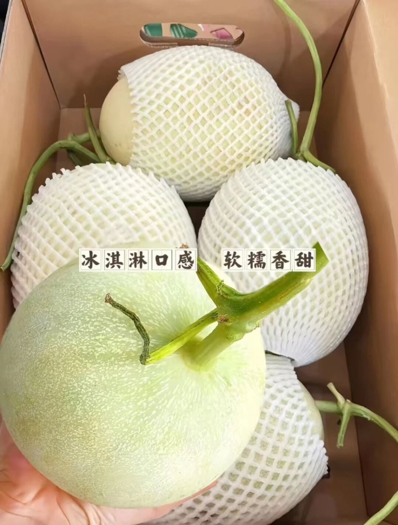 甜瓜玉菇甜瓜鲜甜爆汁果肉翠绿支持一件代发电商商超