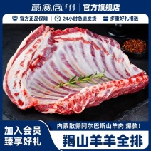 羊全排