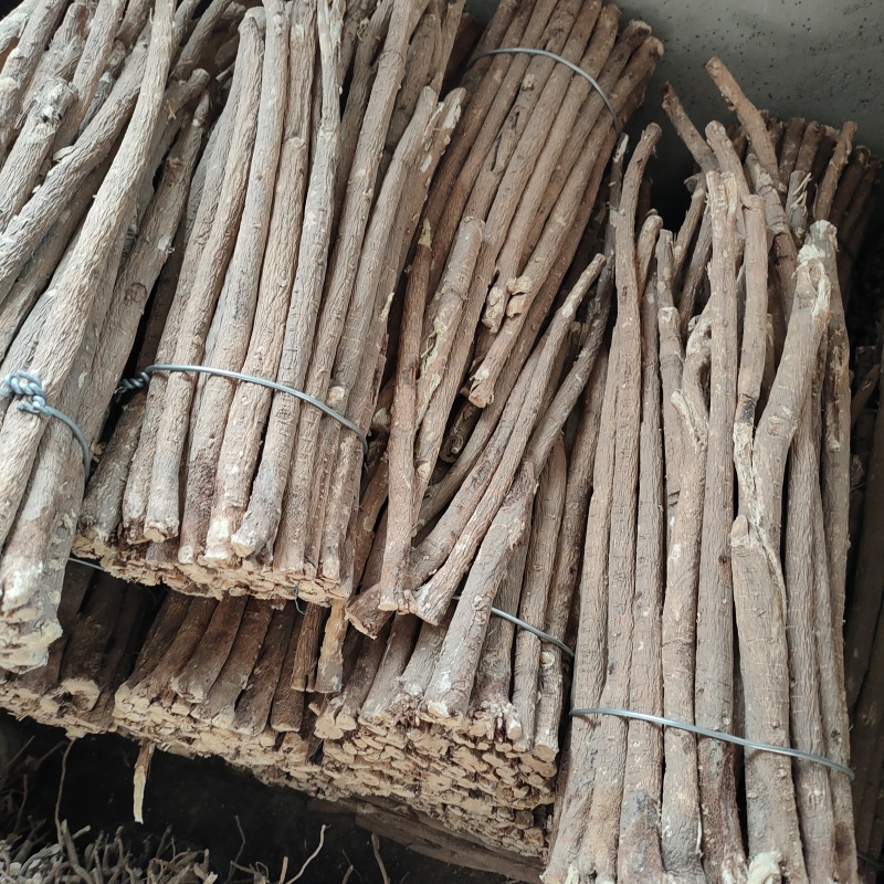 甘肃精品红芪规格齐全货源充足可零售可批发欢迎电话咨询