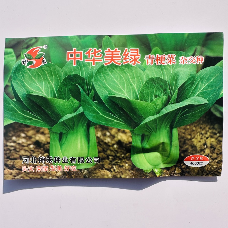矮脚苏州束腰青梗菜种籽耐热耐寒叶片肥厚甜糯好吃青菜种籽