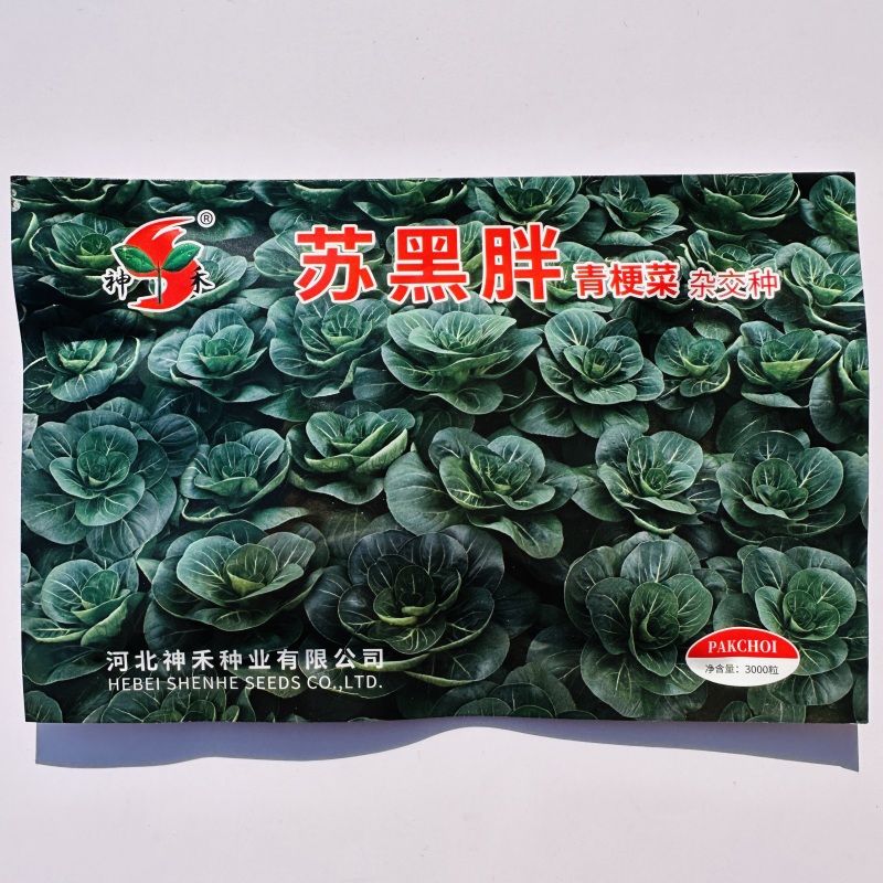 矮脚苏州束腰青梗菜种籽耐热耐寒叶片肥厚甜糯好吃青菜种籽