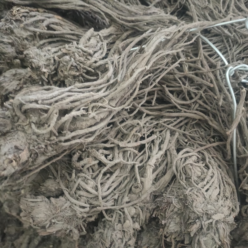甘肃羌活产地直发货源充足规格齐全可视频看货欢迎下单