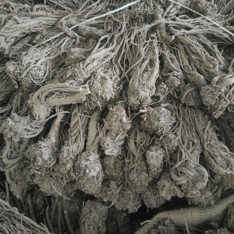 甘肃羌活产地直发货源充足规格齐全可视频看货欢迎下单
