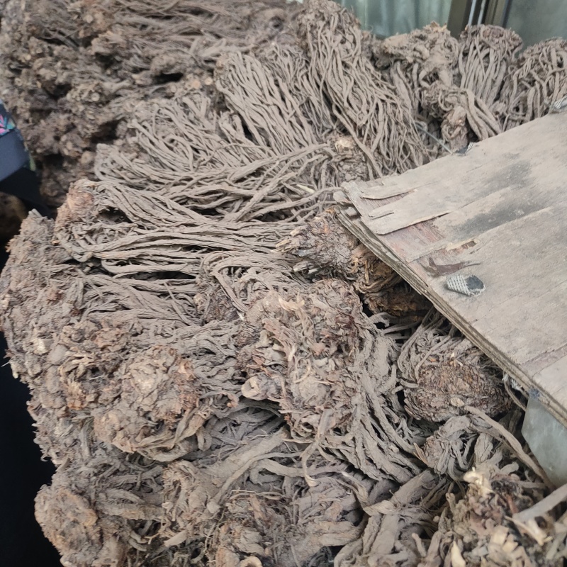 甘肃羌活产地直发货源充足规格齐全可视频看货欢迎下单