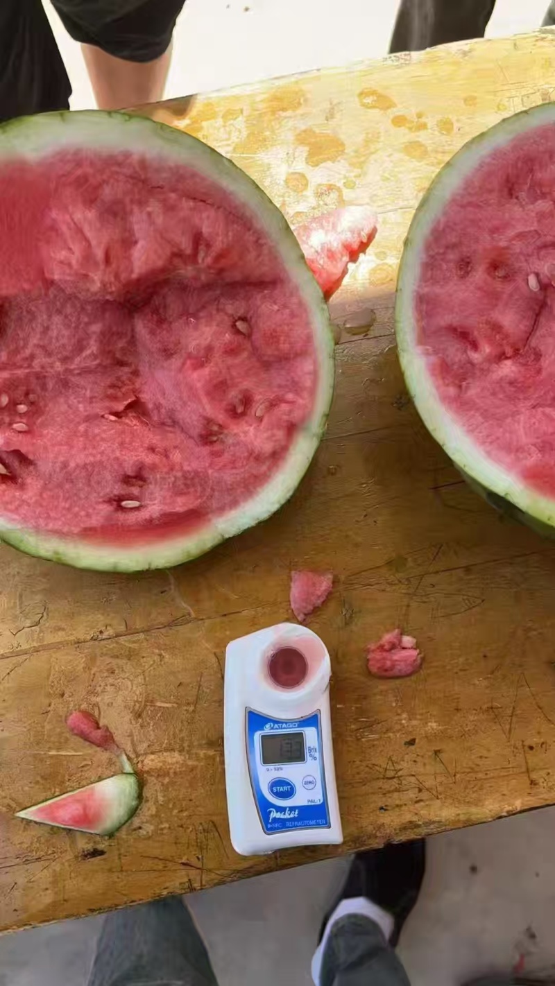 美都麒麟西瓜产地直销大量上市欢迎来电采购