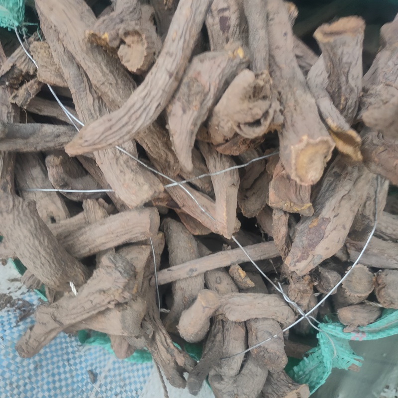 甘肃大黄瓜皮水银产地直发货源充足可视频看货