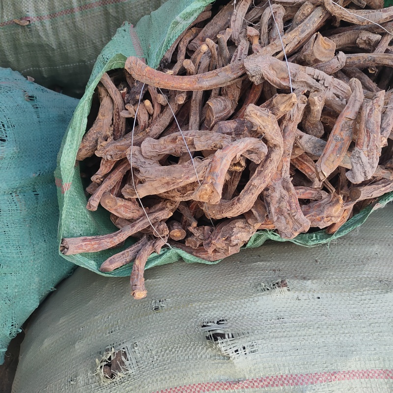甘肃大黄瓜皮水银产地直发货源充足可视频看货