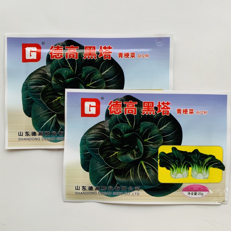 矮脚苏州束腰青梗菜种籽耐热耐寒叶片肥厚甜糯好吃青菜种籽