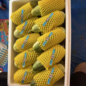 青州博洋61系列金芒果大量上市，对接市场电商商超团购一件代发