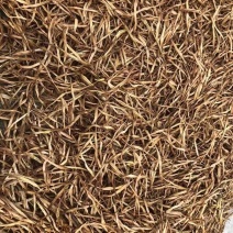 黄花菜干湖南祁东黄花菜之乡原产地直发农家新鲜金针菜煲汤