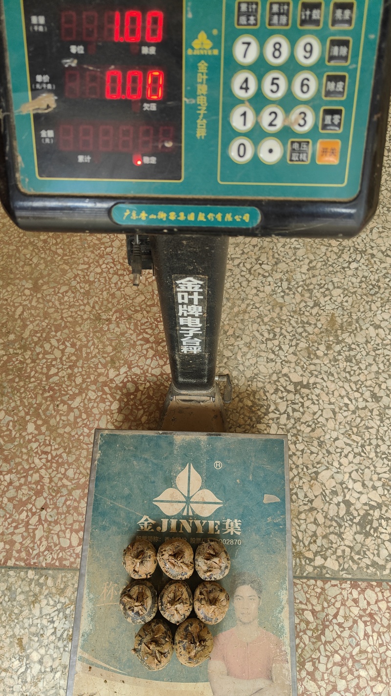 广西荔浦新鲜优质马蹄茡荠鲜甛可口汁水丰满内质白嫩色泽鲜红