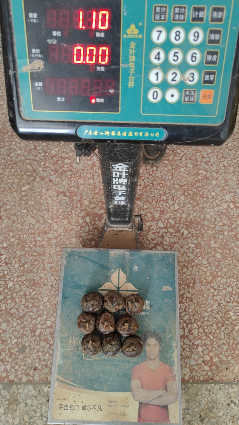 广西荔浦新鲜优质马蹄茡荠鲜甛可口汁水丰满内质白嫩色泽鲜红