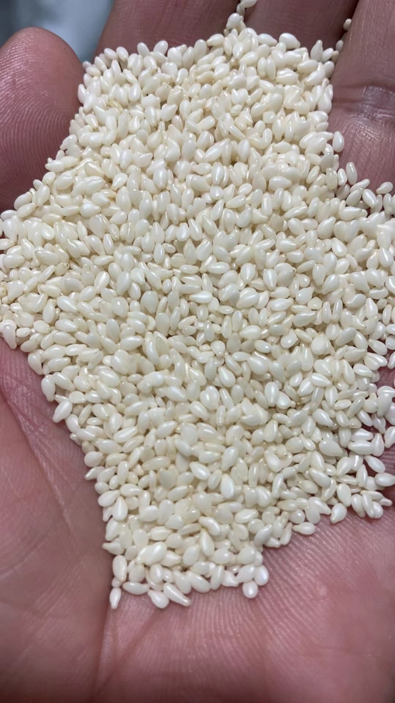5吨熟芝麻发往上海，货量充足！