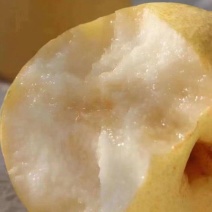 冷库酥梨清理库存