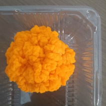 金耳，黄耳，脑耳