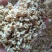 玉木耳最小号白玉耳玉木耳干品精选白木耳