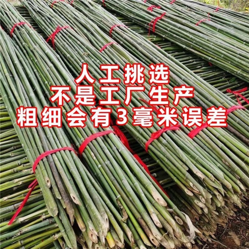 竹竿菜园搭架西红柿黄瓜架子篱笆支架，竹杆批发零售旗杆