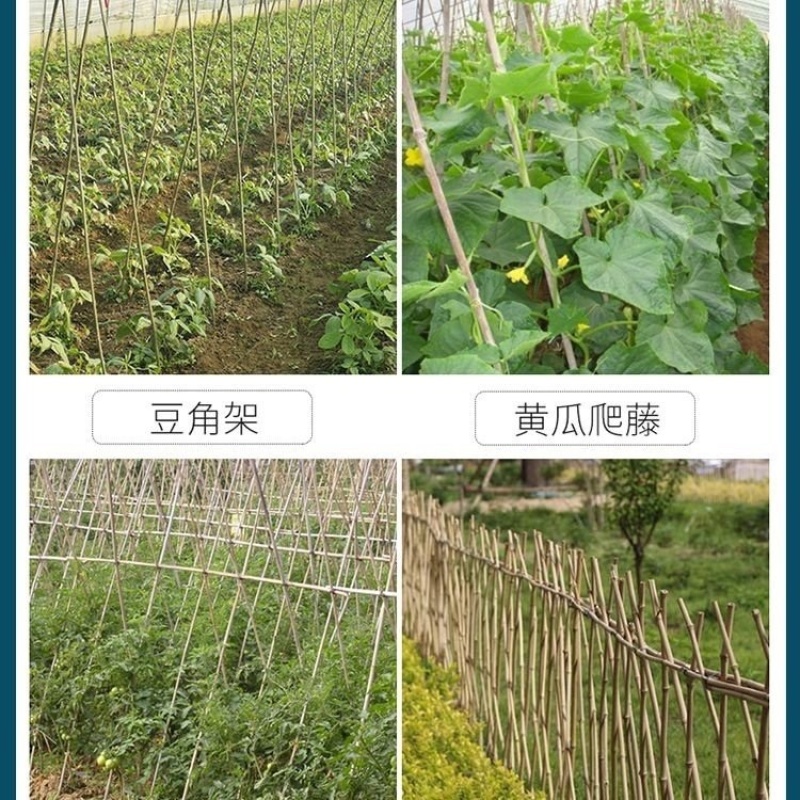 竹竿菜园搭架西红柿黄瓜架子篱笆支架，竹杆批发零售旗杆