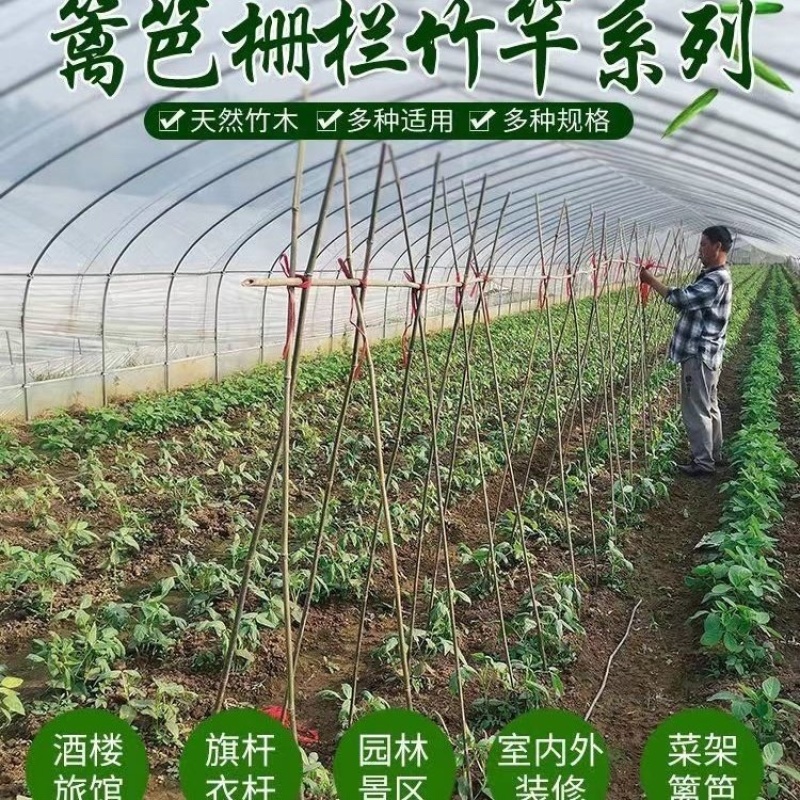 竹竿菜园搭架西红柿黄瓜架子篱笆支架，竹杆批发零售旗杆