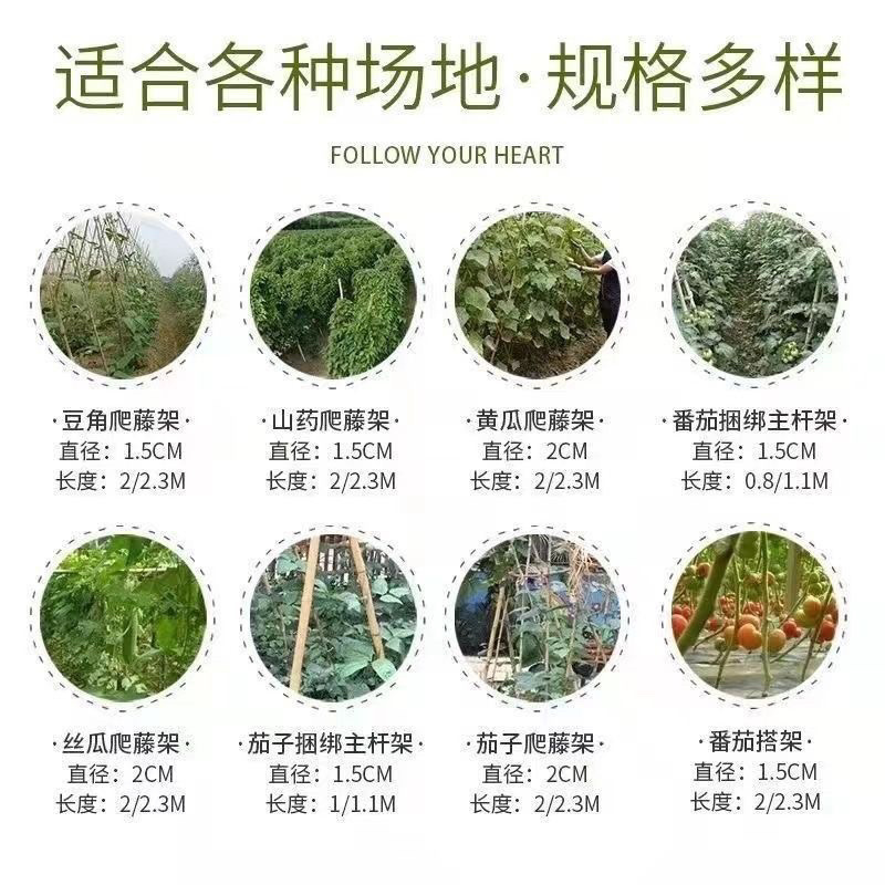 竹竿菜园搭架西红柿黄瓜架子篱笆支架，竹杆批发零售旗杆