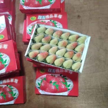 新鲜采摘，昭通上市四季草莓，酸甜口感