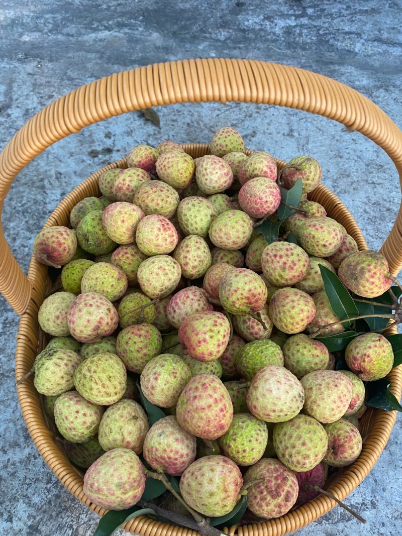 《万人合作商》荔枝口感纯正软糯，可接电商市场商超团购出口