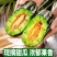 《博洋9号甜瓜》陕西基地直发对接商超团购电商一条龙