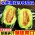 《博洋9号甜瓜》陕西基地直发对接商超团购电商一条龙