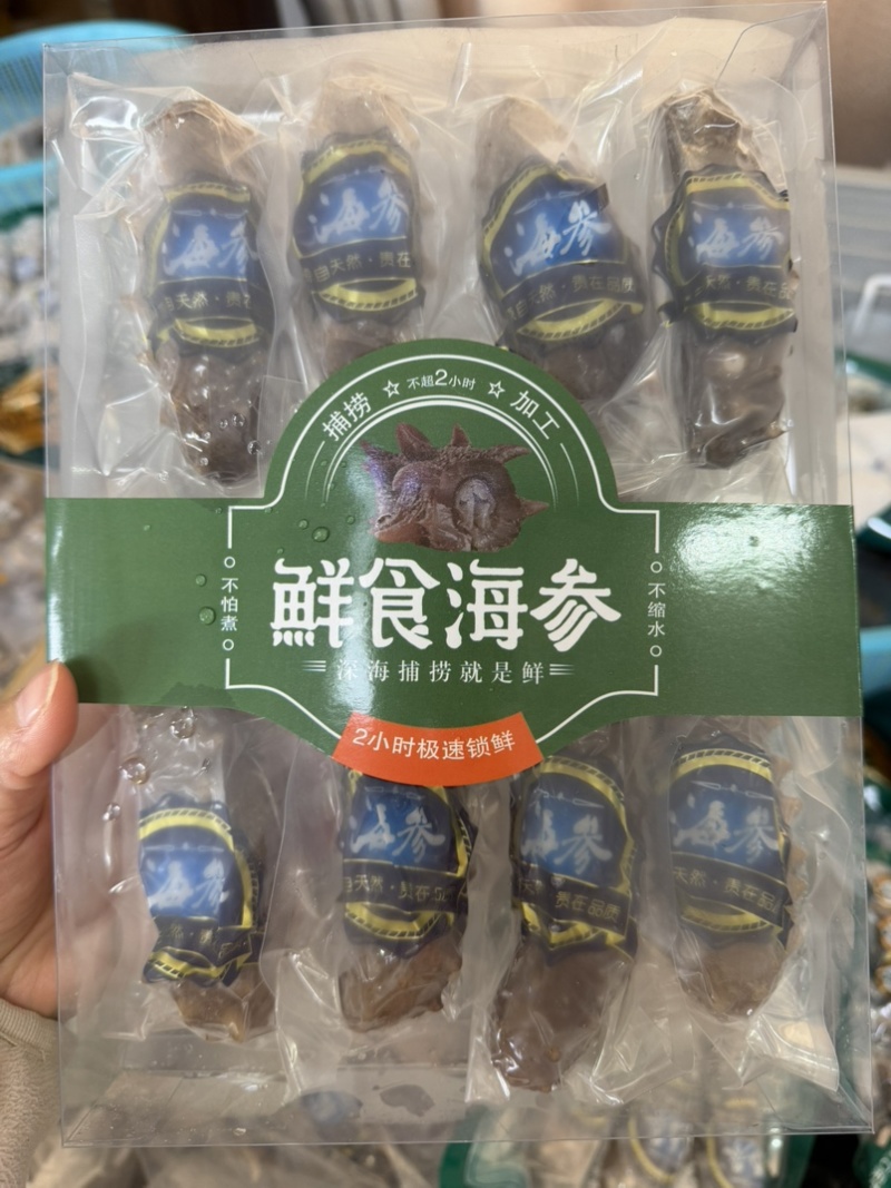 辽参即食鲜食海参6-10头餐饮电商批发