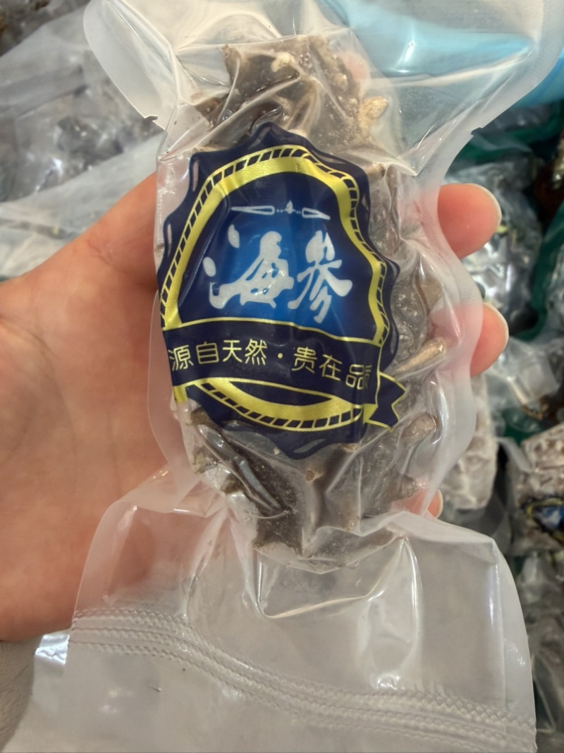 辽参即食鲜食海参6-10头餐饮电商批发