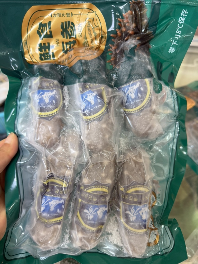 辽参即食鲜食海参6-10头餐饮电商批发