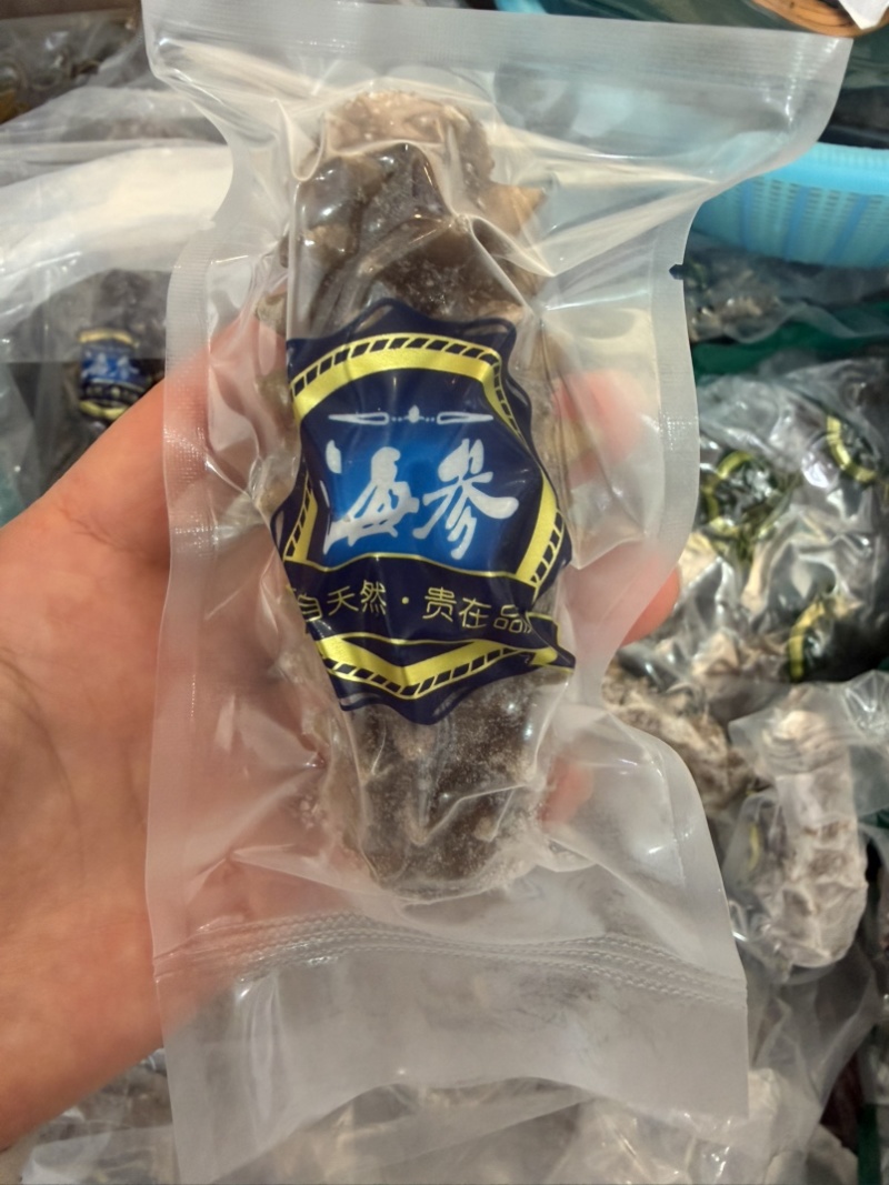 辽参即食鲜食海参6-10头餐饮电商批发