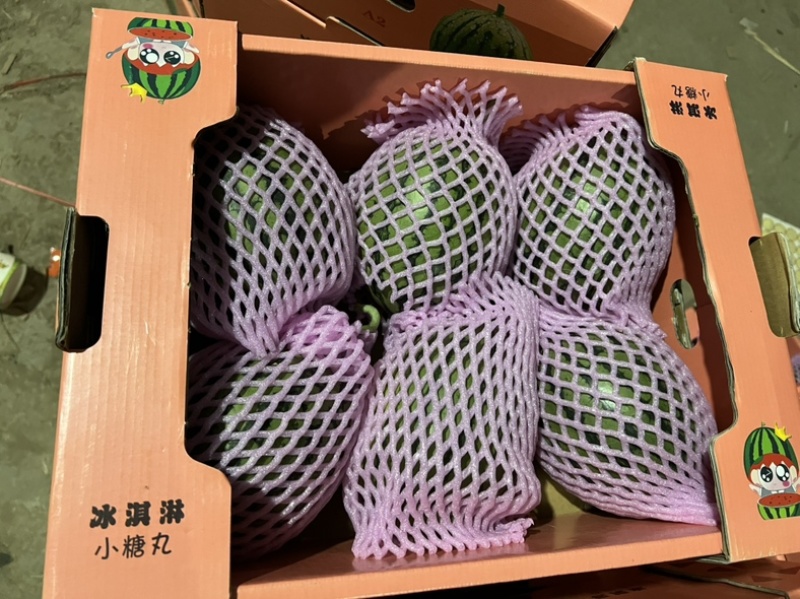小糖丸西瓜早春红玉西瓜品质保证全国各地代发