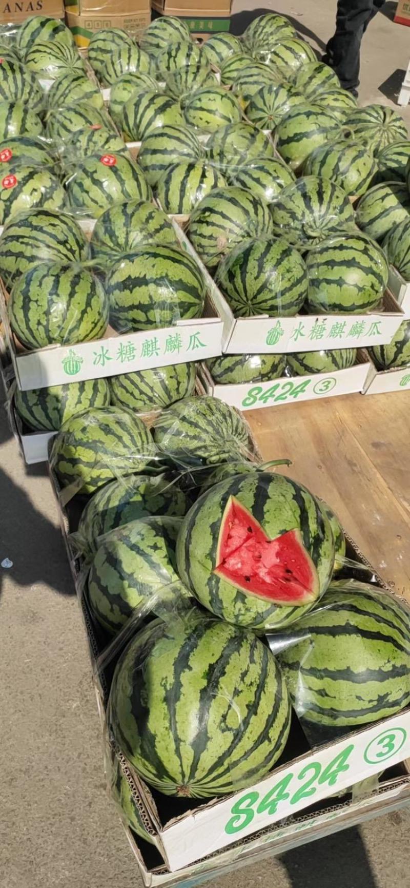 [实力商家]美都西瓜大量上市，万亩基地，质量保证欢迎订购