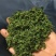 【酸枣叶茶】伏牛山酸枣叶茶/新鲜酸枣芽现摘纯手工炒制